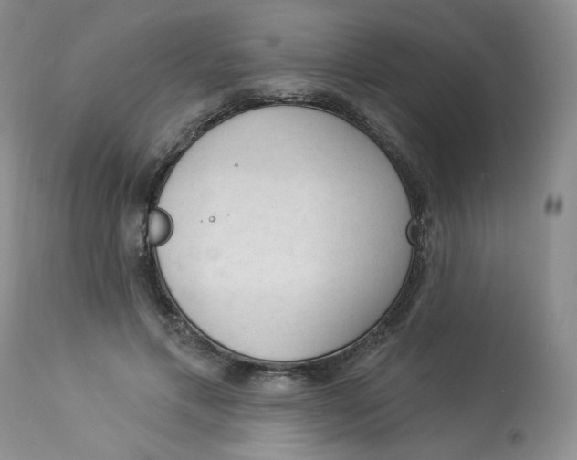 X0000112860597200909111510