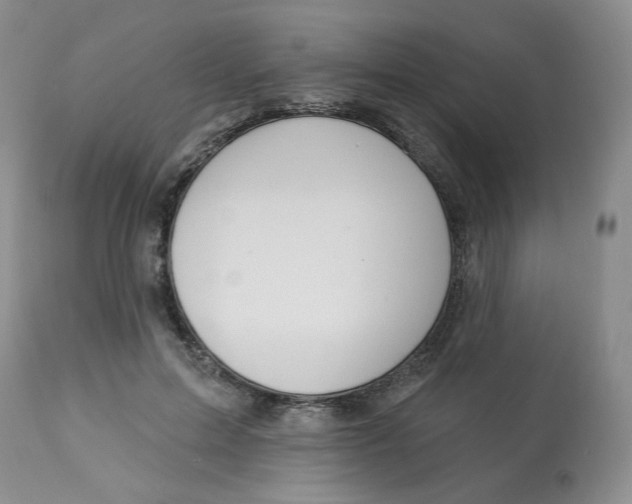 X0000112860599200909111510