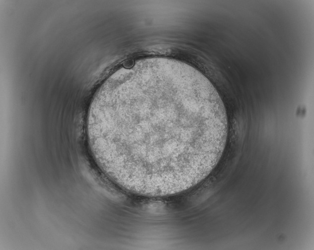 X0000112860600200909111510