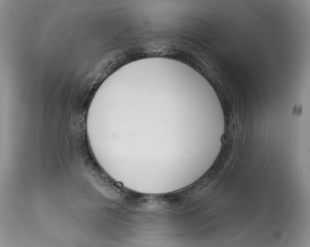 X0000112860601200909111510