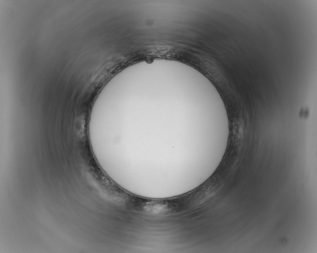 X0000112860602200909111510