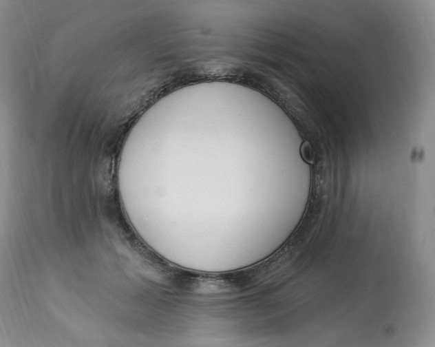 X0000112860605200909111510