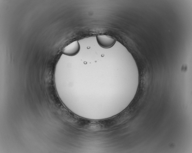 X0000112860608200909111510