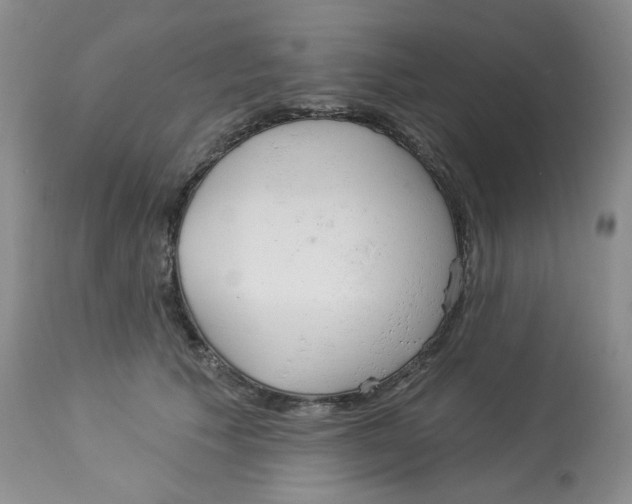 X0000112860609200909111510