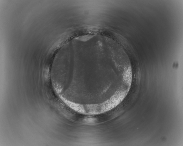 X0000112860610200909111510