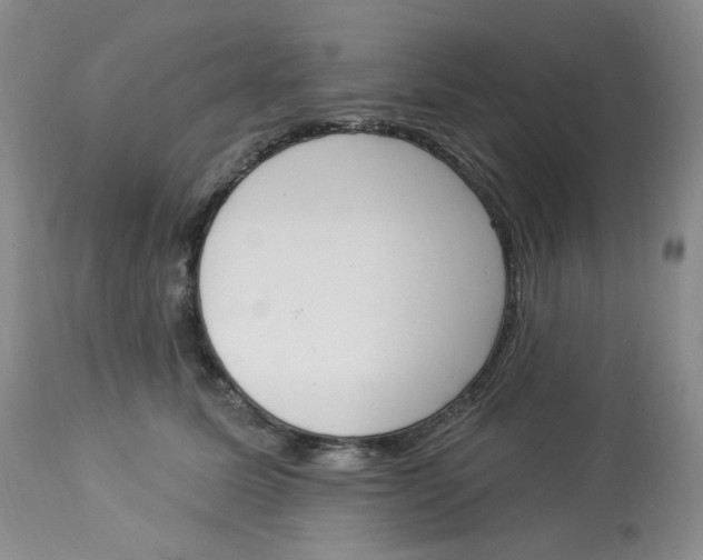 X0000112860611200909111510