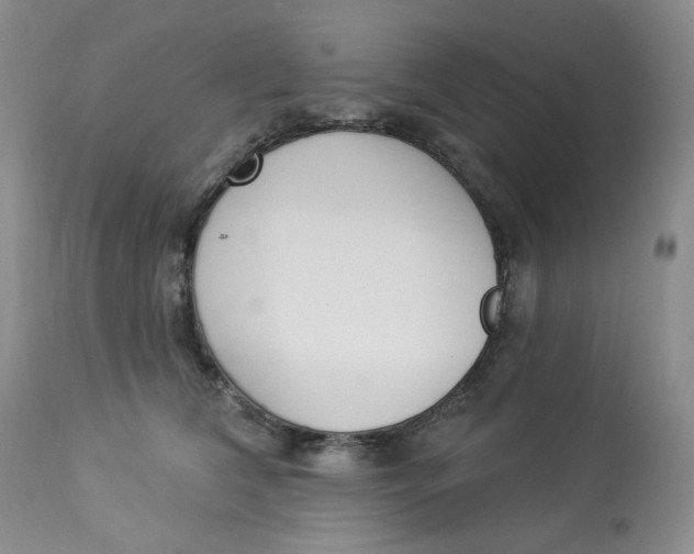 X0000112860612200909111510