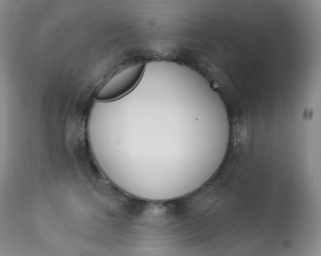 X0000112860613200909111510