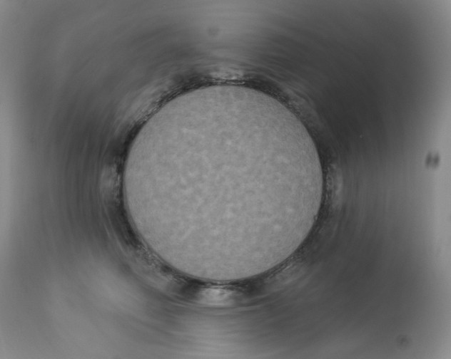 X0000112860614200909111510