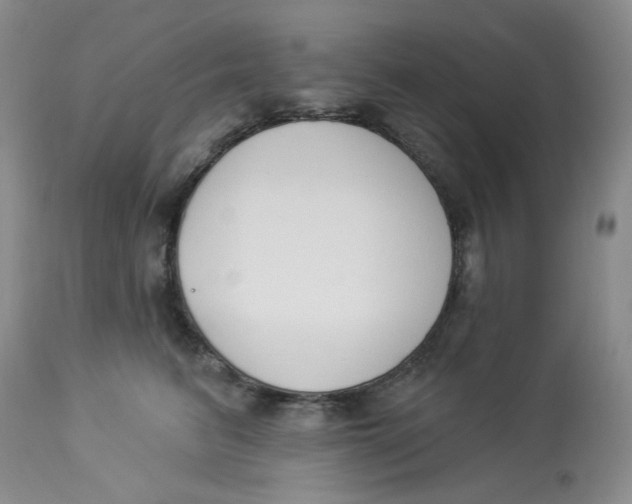 X0000112860615200909111510