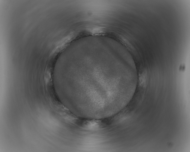 X0000112860618200909111510