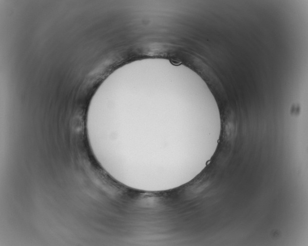 X0000112860620200909111510