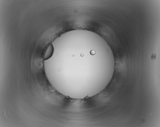 X0000112860621200909111510