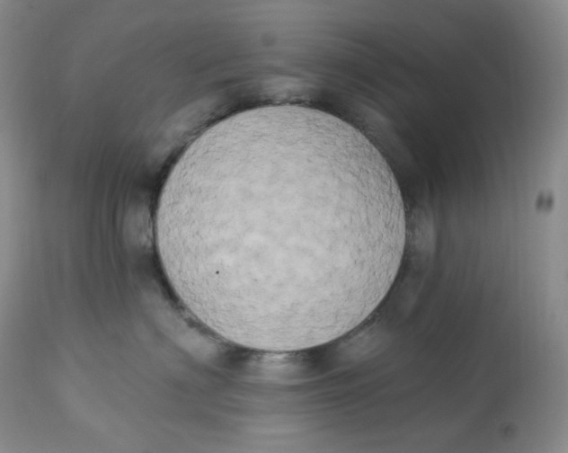 X0000112860622200909111510