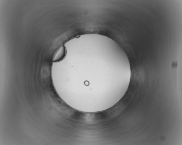 X0000112860623200909111510