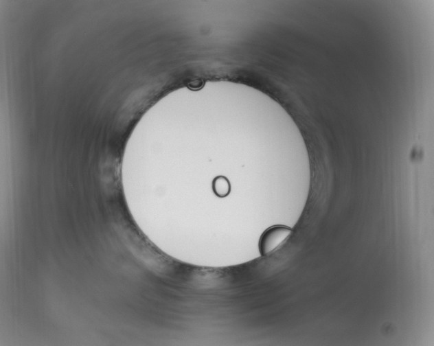 X0000112860624200909111510