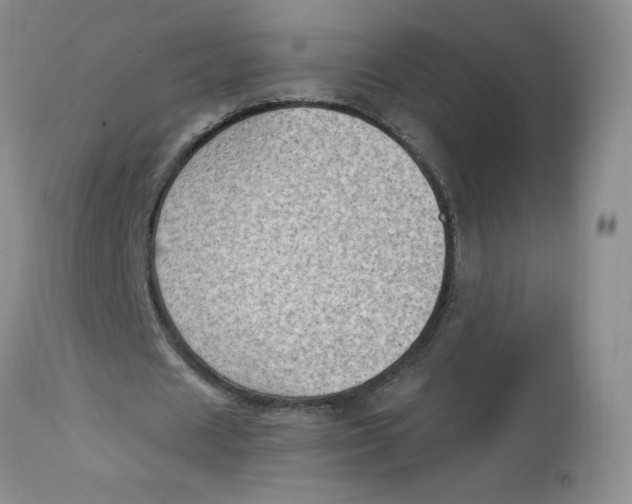 X0000112860625200909111509