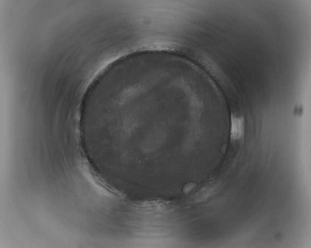 X0000112860627200909111509