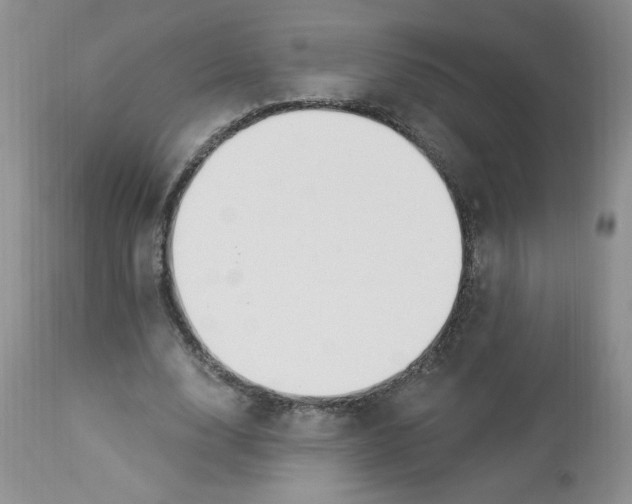 X0000112860632200909111509