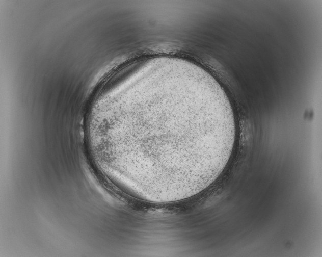 X0000112860634200909111509