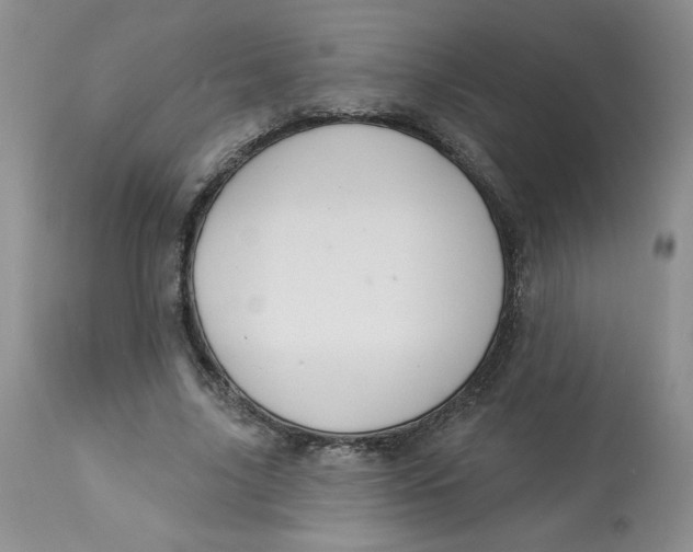 X0000112860635200909111509