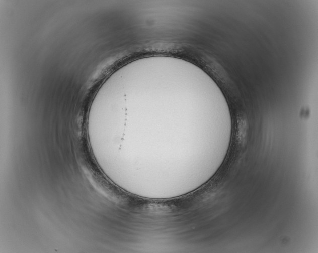 X0000112860636200909111509