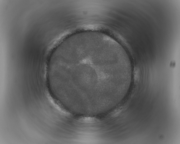 X0000112860637200909111509