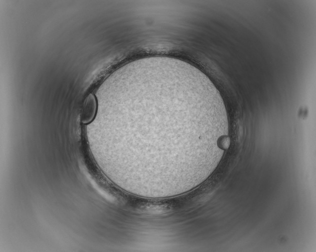 X0000112860638200909111509