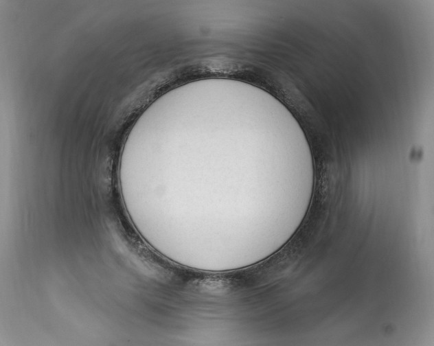 X0000112860639200909111509