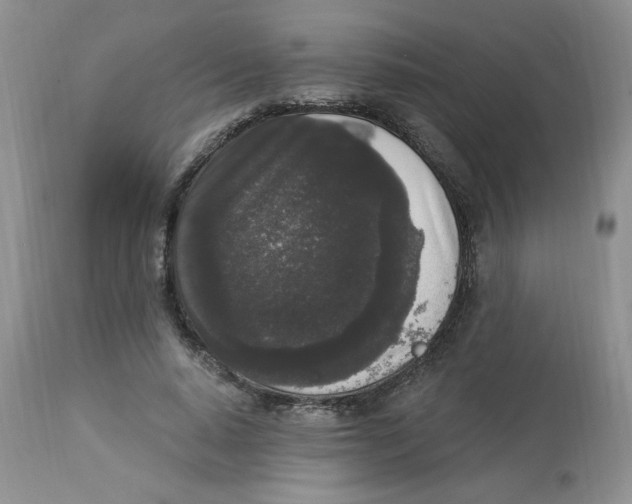 X0000112860640200909111509