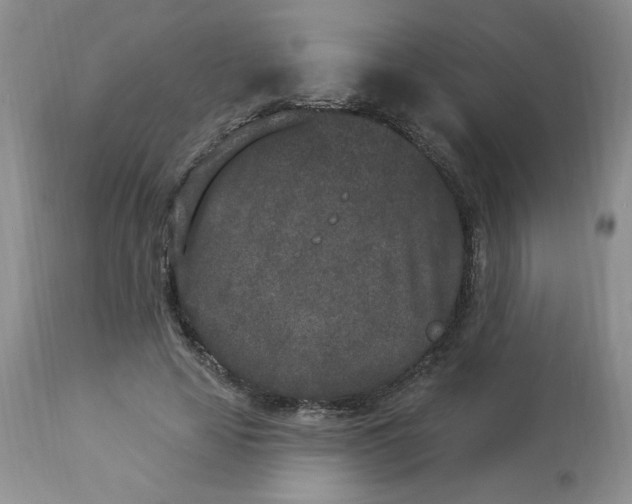 X0000112860641200909111509