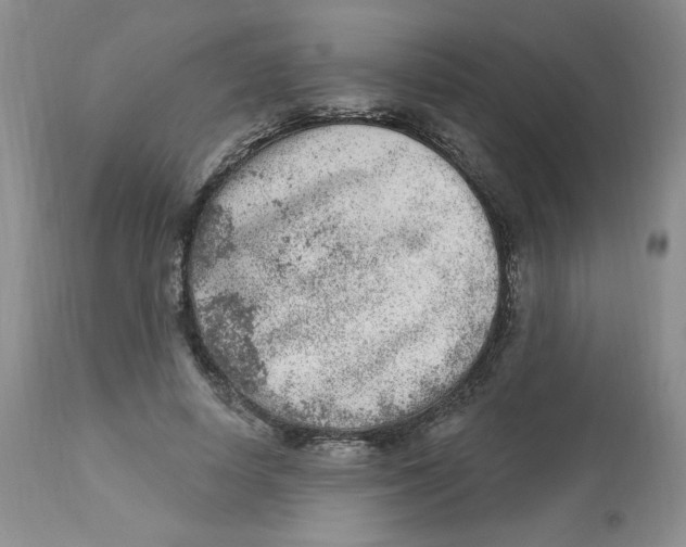 X0000112860642200909111509