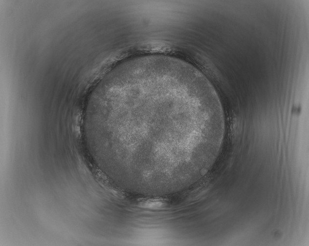 X0000112860643200909111509