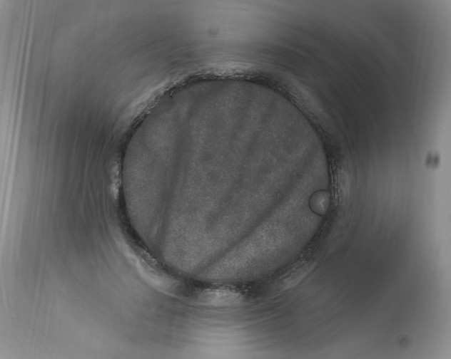 X0000112860644200909111509