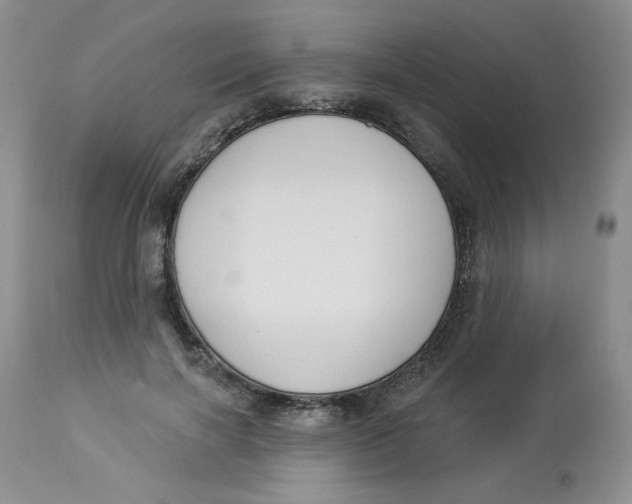 X0000112860646200909111510