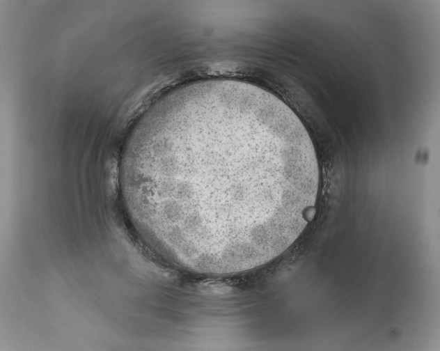 X0000112860648200909111510