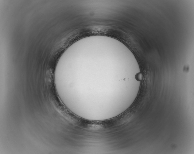 X0000112860649200909111510