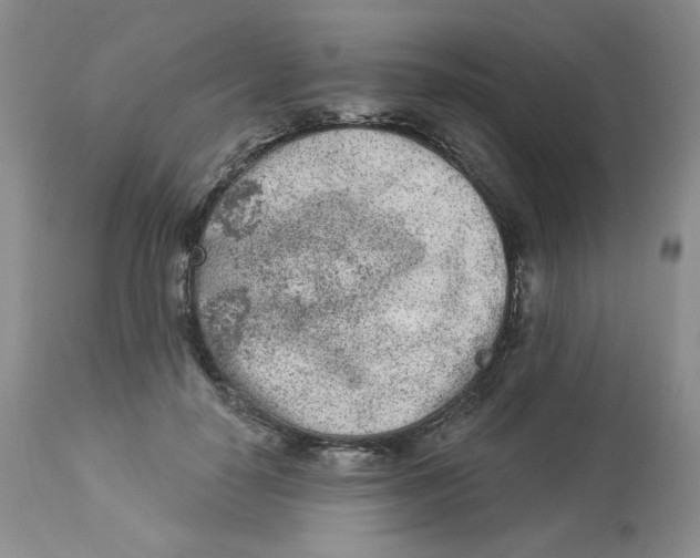 X0000112860650200909111510