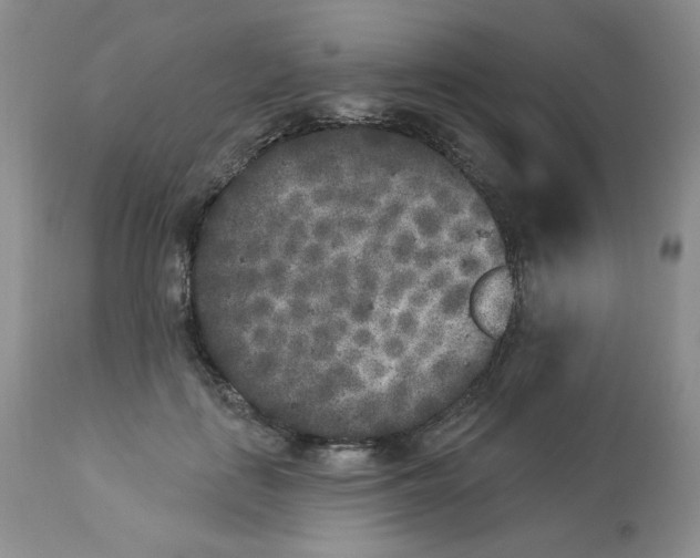 X0000112860651200909111510