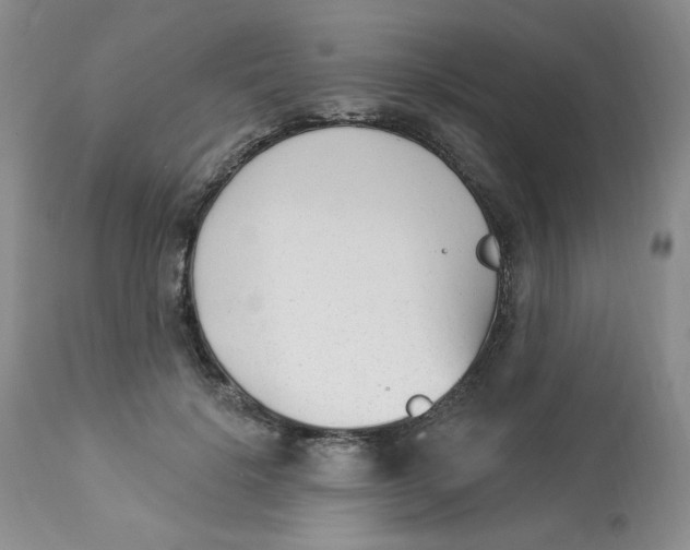 X0000112860652200909111510