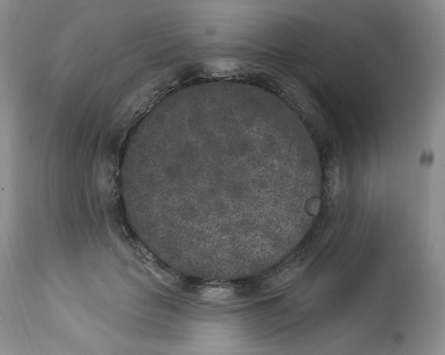 X0000112860653200909111510