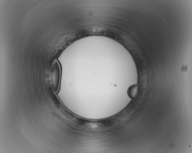 X0000112860654200909111510