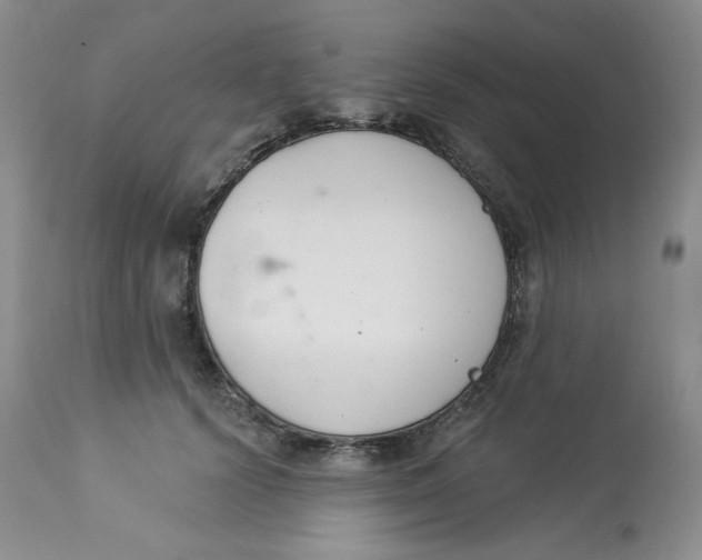 X0000112860656200909111510