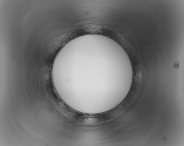 X0000112860658200909111510