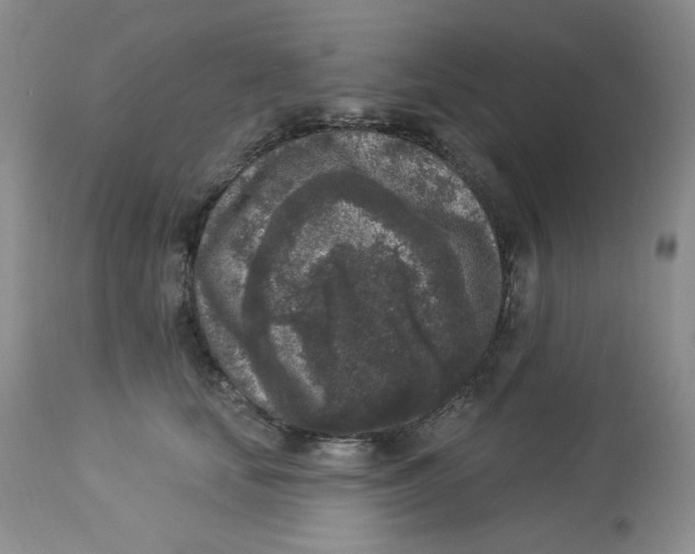 X0000112860659200909111510