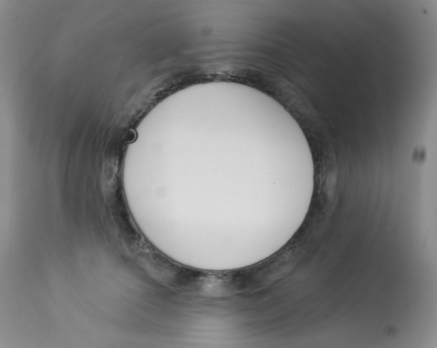 X0000112860660200909111510