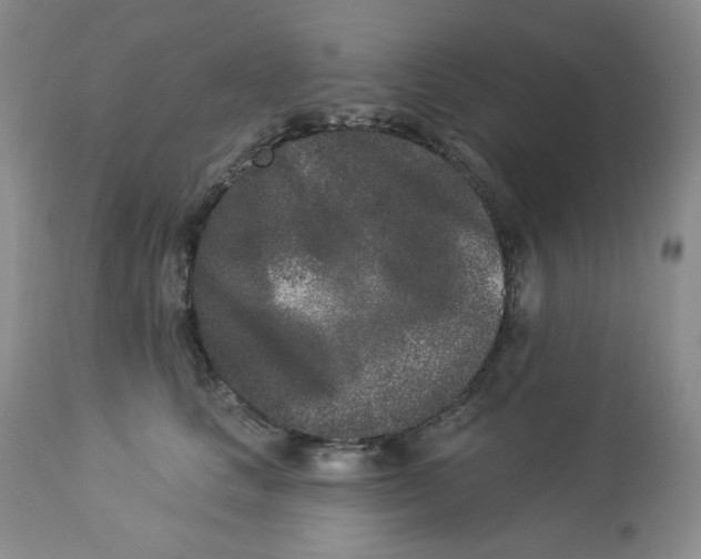 X0000112860661200909111510