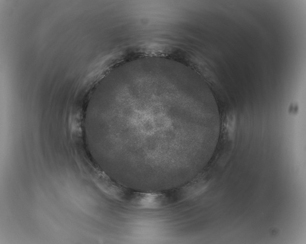 X0000112860663200909111510