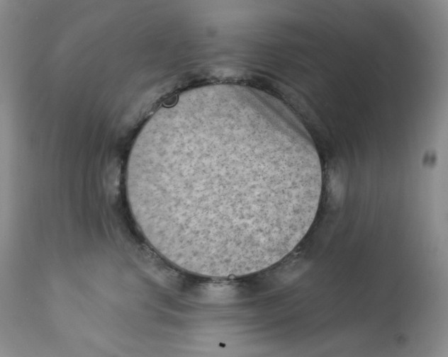 X0000112860668200909111510