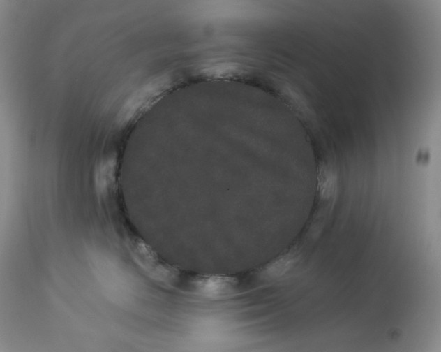 X0000112860670200909111510